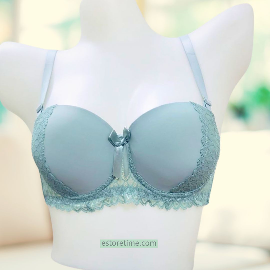 Full Coverage Lace Embroidery Bra - 4005