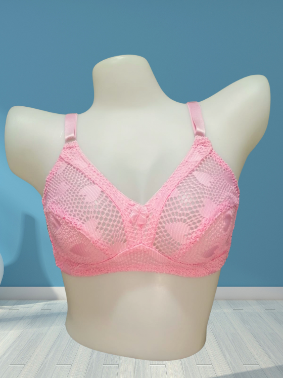 Full Net Embroidery Aire Bra 20740