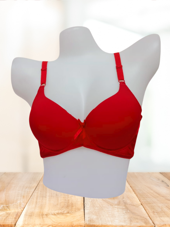 T-shirt Double Padded Underwired Bra – Extra Back Support - (LZP9904)