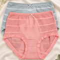 Mid-Waist Net Panty